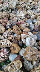 10lbs 1 3 Creek Rocks For Sale River Stone Mini Fairy Garden Yard Pond Natural Rocks Planters In 2020 Landscaping With Rocks River Rock Landscaping Pond Landscaping
