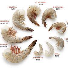 Peneus setiferus , an edible shrimp With Shrimp Size Matters Article Finecooking