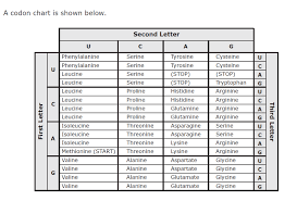 Looking for staar practice tests? Biology Staar 2013 2015 Flashcards Easy Notecards