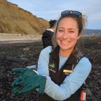 Image result for Pearsonia mesopontica