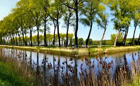 Der ort gehört zur gemeinde molenlanden auf der niederung alblasserwaard und liegt auf dem polder nederwaard. Bruges To Amsterdam Self Guided Bike Tour Belgium Holland Tripsite