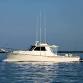 Star Fish event in Beach Haven, NJ