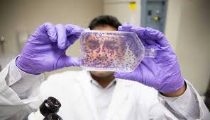 kanser tedavisi ile ilgili görsel sonucu