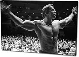 Sign up for my newsletter: Suchergebnis Auf Amazon De Fur Arnold Schwarzenegger Poster