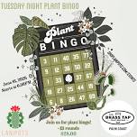 June Plant Bingo!