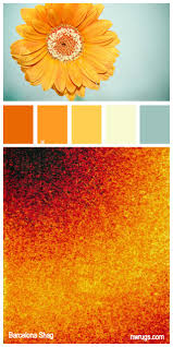 Barcelona Shag Sunburst Of Color A Recipe For A Lively Space Loveofrugs Rugs Interiordesign Color Schemes Color Inspiration Color Palette