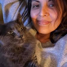 Portable Catio Ideas for Secure Outdoor Space