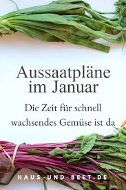 Aussaatplane Im Januar Das Neue Gartenjahr Beginnt Haus Und Beet Wintergemuse Anbauen Gartenarten Kuchenkrauter