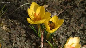 Your schedule please sign in below. Home Depot To Hire More Than 1 700 In Denver For Spring Season 9news Com