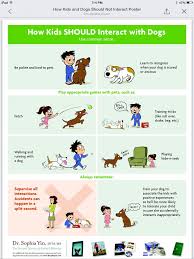 How Kids Should Interact Honden Hondengedrag Dieren