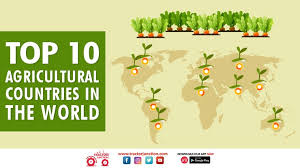 Maybe you would like to learn more about one of these? Top 10 Agricultural Producing Countries In The World