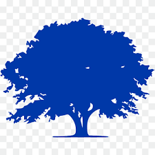 Gtidea 12pcs artificial silk ficus tree branches faux fake lamination green leaves arrangements home garden office market restaurant wedding decor. Southern Silky Oak Tree Schefflera Actinophylla Business Tree Blue Leaf Text Png Pngwing
