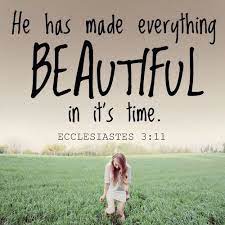 In Its Time Bible Quotes Verse Quotes Words