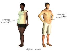 Waist Circumference Measure Your Waist To Help Measure Your