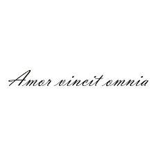 Love Conquers All This Is The Tat On My Foot Love Conquers All Italian Quote Tattoos Woman Quotes