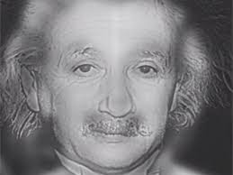 Quem você vê na foto: Albert Einstein ou Marilyn Monroe?
