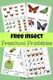 Children in first and second grades enjoy studying about insects! Free Preschool Printables Insect Mini Pack True Aim