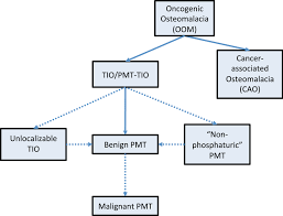 Cancer definition can be put as a group of the related diseases with abnormal growth of the body cells and spreading in other scientists and doctors are struggling hard to tackle the cancerous cells diseases. Proposed Nomenclature For Oncogenic Osteomalacia All Cases Of Benign Download Scientific Diagram