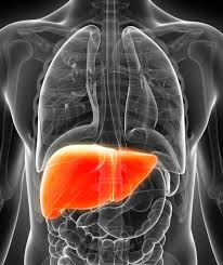 Este posibil ca giardia sa imi de dureri localizate la colon? Durerea De Colon Sau Durerea Abdominala Cauze Si Tratament Cum Functioneaza Rinichii Si Intreg Aparatul Urinar