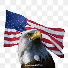 Hand Painted Elements Of American Flag Of American Eagle Pulsatilla Ferocious National Flag National Bird Png Transparent Clipart Image And Psd File For Free American Eagle National Flag Flag Painting