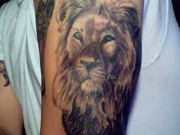 Lion tattoos work best in large pieces due to the amount of detail. Lion Tattoo Meaning Tattoosphoto