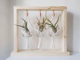 Natural Wooden Frame Trio Of Macrame Hanging Planters Glass Vase For Air Plants Or Succulent Plan Macrame Hanging Planter Trending Decor Wooden Picture Frames