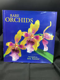 Image result for Orchid 1999 Truck