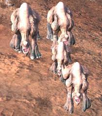 ペット Kenshi 日本語wiki Atwiki アットウィキ