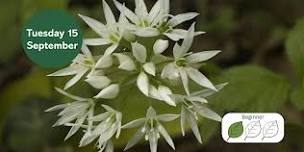 Introduction to Sustainable Foraging
