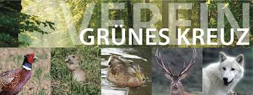 Bildergebnis für grünes kreuz wien jagd und natur