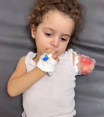 Eric Zappa (@EricZappa1)