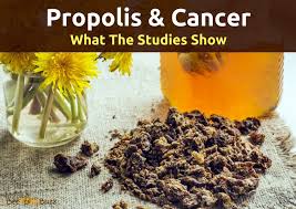 While bees collect plant nectar to make honey, nectar is pure carbohydrates. Bee Pollen And Rapid Hair Growth