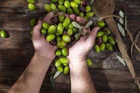 Check spelling or type a new query. Come Conservare Le Olive Olive In Salamoia Sotto Sale O Olive Sott Olio Fidelity Cucina