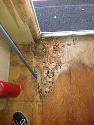Drywood Termite Damage Here You Can See The Subfloor Of A Home Which Was Vacant For Many Years The Termites Des Termite Damage Drywood Termites Wood Termites