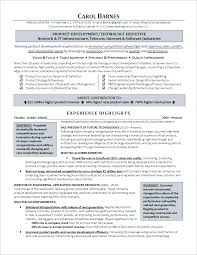 Award Winning Executive Resume Examples Good Resume Examples Resume Examples Best Resume