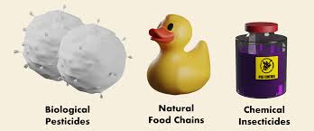 Before chemicals were used farmers would use animals and plants by using natural pest control methods rather than chemicals the food chain is not disrupted. Team Tpr China Description 2020 Igem Org