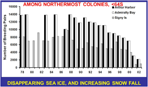 Penguinscience Understanding Penguin Response To Climate