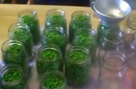 Canning Frozen Peas Yes You Can Can Them Canning Peas Canning Frozen Peas