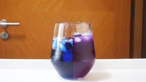 Healthy drink, organic blue pea flower tea with lemon and lime. Butterfly Pea Flower Tea Juneunicorn