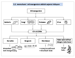 Text of nota sains y5. Nota Sains Tahun 5