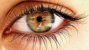 Goz Kanseri Nedir Goz Kanseri Belirtileri Goz Kanseri Belirtileri Ve Tedavisi Goz Kanseri Olumculmudur Goz Kans Beautiful Eyes Color Green Eyes Aesthetic Eyes