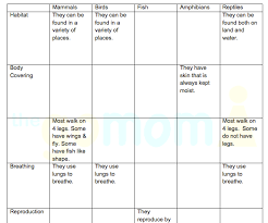 Animal Worksheet New 546 Animal Classification Worksheet