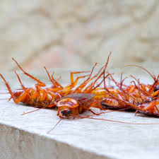 Cajun pest services use the most advanced application methods and materials to target your pest issues. Pest Control Services Lexington Newberry Batesburg Greenwood Sc Enlow Pest Control