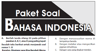 Pdf pembahasanb ind paket syamsul makh academiaedu. Latihan Soal Usbn Sd Tahun 2017 2018