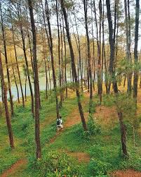  Kalau Lagi Pengen Refreshing Tapi Males Jalan Jauh Paling Seneng Main Kesini Namanya Ranu Gumbolo Deket Bendungan Wonorejo Di Tulungagung A Instagram Jalan