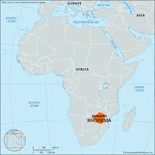 Image result for Sorindeia rhodesica