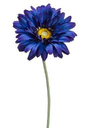 We did not find results for: Purple Lavender Plum Silk Flowers Shop By Color Afloral Com Gerbera Daisy Silk Flowers Wedding Gerbera