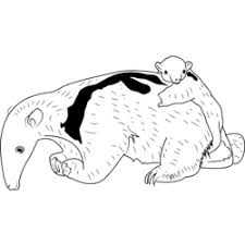 Anteater starts with a coloring page. Anteater Coloring Pages For Kids Printable Free Download Coloringpages101 Com