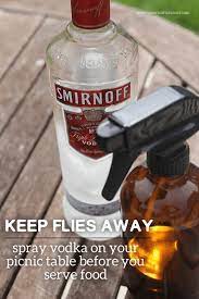 Best Ways To Get Rid Of Bugs Keep Flies Away From Food Easy Tips And Tricks To Get Rid Of Roaches Ants Fleas Keep Flies Away Cleaning Hacks Helpful Hints