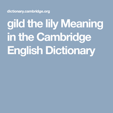 To Improve Or Decorate Something That Is Already Perfect And Therefore Spoil It Should I Add A Scarf To T English Dictionaries Cambridge English Lily Meaning